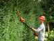 Skil 0640 CA - Battery-powered hedge trimmer on extension pole - BATTERY AND BATTERY CHARGER NOT INCLUDED