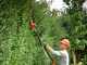 Skil 0640 CA - Battery-powered hedge trimmer on extension pole - BATTERY AND BATTERY CHARGER NOT INCLUDED
