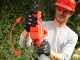 Skil 0640 CA - Battery-powered hedge trimmer on extension pole - BATTERY AND BATTERY CHARGER NOT INCLUDED