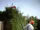 Skil 0640 CA -  Battery-powered hedge trimmer on extension pole - 20V/2.5Ah