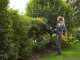 Stiga MT 100e Kit - Pruning shear/Hegde trimmer on extension pole - 20V/4Ah