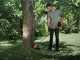 Skil 0250 - Battery-powered brush cutter -WITHOUT BATTERY AND BATTERY CHARGER