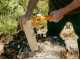 Fiskars X-Series X13 - Ultralight trekking axe - 33 cm
