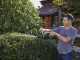 Alpina AH 20 Li Kit - Battery-powered Hedge Trimmer - 20V/2Ah - 70 cm blade