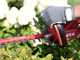 PROMO - Skil 0429 CA - Battery-powered Hedge Trimmer - 50 cm blade - 20v/2.5ah