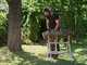 PROMO - Skil 0534CA - 20V 2.5Ah Battery-powered Chainsaw - 30 cm Blade