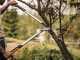 Fiskars PowerGearTX LX98 - Bypass Lopper - Size L