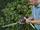 Alpina AM 20 Li Kit - Pruner/Hedge Trimmer on Telescopic Pole - 20 V 4Ah
