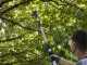 Alpina AM 20 Li Kit - Pruner/Hedge Trimmer on Telescopic Pole - 20 V 4Ah