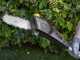 Alpina AM 20 Li Kit - Pruner/Hedge Trimmer on Telescopic Pole - 20 V 4Ah