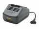 Alpina AC 20 Li Kit - Electric Battery-powered Chainsaw - 25 cm bar - 20V/4Ah