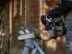 Alpina ACS 39 - Petrol Cutting Chainsaw - 35 cm Blade