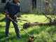 Worx WG183E - Battery-powered Brush Cutter - 40V - 2x 2Ah