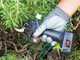 Zanon ZM 22 - Electric Pruning Shears  - 7.2 V- 2.5Ah