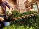 Worx Nitro WG263E.9 - Battery hedge trimmer - 20V - WITHOUT BATTERY AND CHARGER