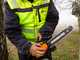Worx Nitro WG350E - 20V/4Ah Battery-powered Electric Chainsaw - 30 cm Blade