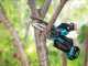 Makita DUC150ZJ LXT - Battery-powerd Manual Pruner - 18V - WITHOUT BATTERY AND BATTERY CHARGER