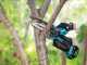 Makita DUC150ZJ LXT - Battery-powerd Manual Pruner - 18V - WITHOUT BATTERY AND BATTERY CHARGER