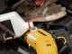 DeWalt DCMPS520N-XJ - Electric Pruning Chainsaw - 18V - WITHOUT BATTERY AND CHARGER