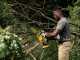DeWalt DCMPS520P1-QW - 18V 5Ah Electric Pruning Chainsaw - 20 cm Blade