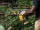DeWalt DCMPS520P1-QW - 18V 5Ah Electric Pruning Chainsaw - 20 cm Blade