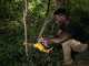 DeWalt DCMPS520P1-QW - 18V 5Ah Electric Pruning Chainsaw - 20 cm Blade