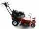 Blue Bird LM 715 PRO -  Petrol Lawn Mower - 71 cm Cutting Width
