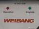 Weibang WBGT6813-TE - Professional Remote-controlled Hammer Rough Cut Mower - Tracked - Hybrid