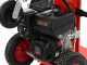 Blue Bird LSE 22000 - Petrol log splitter - Vertical - Loncin 302