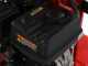 Blue Bird LSE 22000 - Petrol log splitter - Vertical - Loncin 302