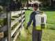 Ryobi RY18BPSB-0 - Battery-powered Backpack Sprayer Pump - 15 L Tank - 18V - 4Ah