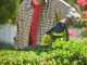 Ryobi RY18GSA-0 - Battery-powered Grass Shear - WITHOUT BATTERY AND BATTERY CHARGER