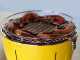 InstaGrill Class - smokeless charcoal barbecue - Mango orange shell