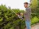 AL-KO Energy Flex HT 4055 - Battery-powered Hedge Trimmer - 36V/4Ah - 55 cm Blade