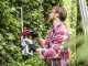 AL-KO Energy Flex HT 4055 - Battery-powered Hedge Trimmer - 36V/4Ah - 55 cm Blade