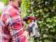 AL-KO Energy Flex HT 4055 - Battery-powered Hedge Trimmer - 36V/4Ah - 55 cm Blade