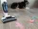 Tineco iFloor 2 Plus - Battery-powered Floor Washer - 3-n1: Washer, Dryer and Vacuum