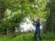 Ryobi RY36PP25A-0 - Battery-powered Pruner on Extension Pole - MAX POWER 36V - 25cm Bar - WITHOUT BATTERY AND BATTERY CHARGER