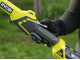 Ryobi RY36PP25A-0 - Battery-powered Pruner on Extension Pole - MAX POWER 36V - 25cm Bar - WITHOUT BATTERY AND BATTERY CHARGER