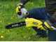 Ryobi RY36PP25A-0 - Battery-powered Pruner on Extension Pole - MAX POWER 36V - 25cm Bar - WITHOUT BATTERY AND BATTERY CHARGER
