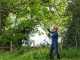 Ryobi RY36PP25A-0 - Battery-powered Pruner on Extension Pole - 25 cm Bar - MAX POWER 36V 2Ah