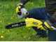 Ryobi RY36PP25A-0 - Battery-powered Pruner on Extension Pole - 25 cm Bar - MAX POWER 36V 2Ah