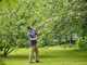 Fiskars Light UP69 - Pruning Shear with Long Swivelling Handle - &Oslash; 12 mm