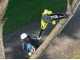 Ryobi RPP182020 - Battery-powered Pruner on Telescopic Pole - 20 cm Bar - 18 V 2 Ah