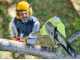 Ryobi RPP182020 - Battery-powered Pruner on Telescopic Pole - 20 cm Bar - 18 V 2 Ah