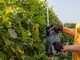AL-KO Comfort HT 1845 - Battery-powered Hedge Trimmer - 18V/2,5Ah - 45 cm Blade