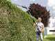 AL-KO Comfort HTA 1845 - Battery-powered telescopic hedge trimmer - 18V/2,5Ah