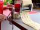 Imperia RavioliMaker 3 - Accessory for Pasta Maker