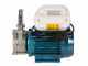 Tellarini ALM 20-SR - Electric stainless steel oil transfer pump - Straight stainless steel fittings
