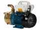 Tellarini EEM 25 MS - Brass Electric Transfer Pump